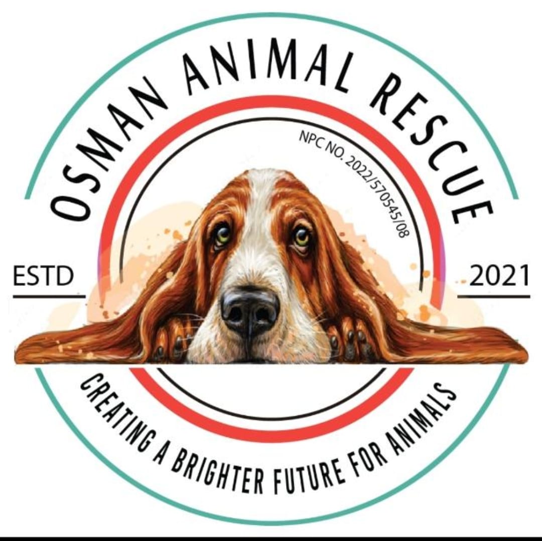 WhatsApp Image 2025-04-03 at 07.54.22