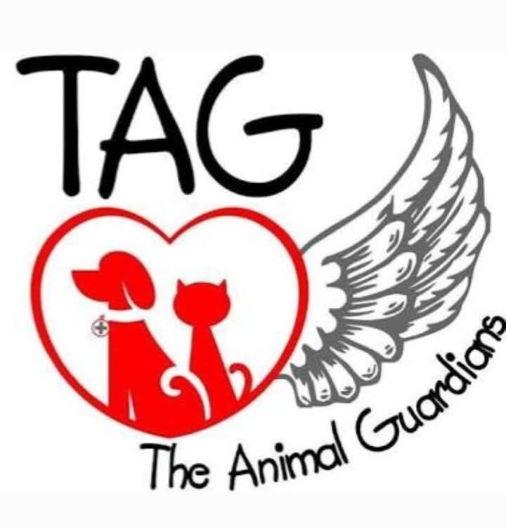 WhatsApp Image 2025-04-03 at 07.54.49