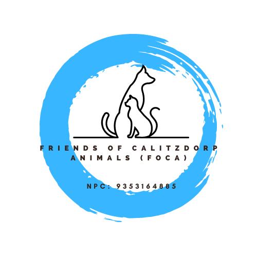 WhatsApp Image 2025-04-03 at 09.02.16