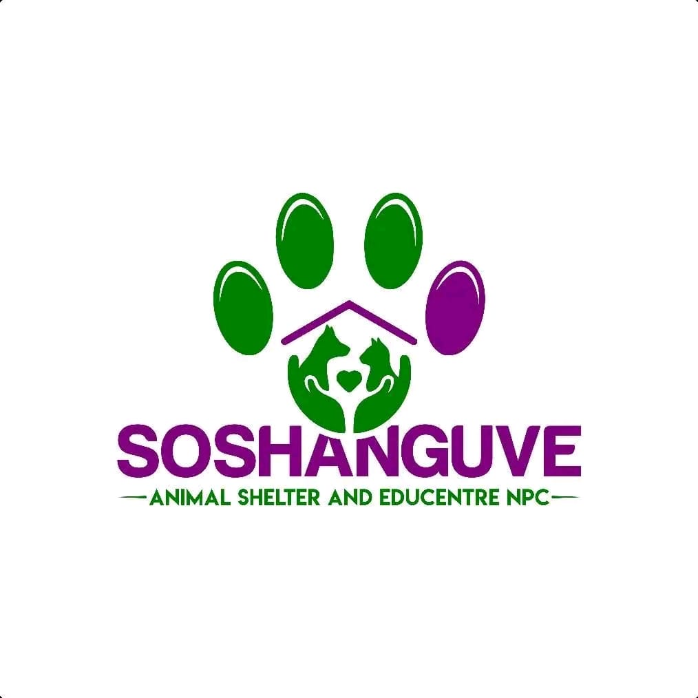 WhatsApp Image 2025-04-11 at 13.32.33