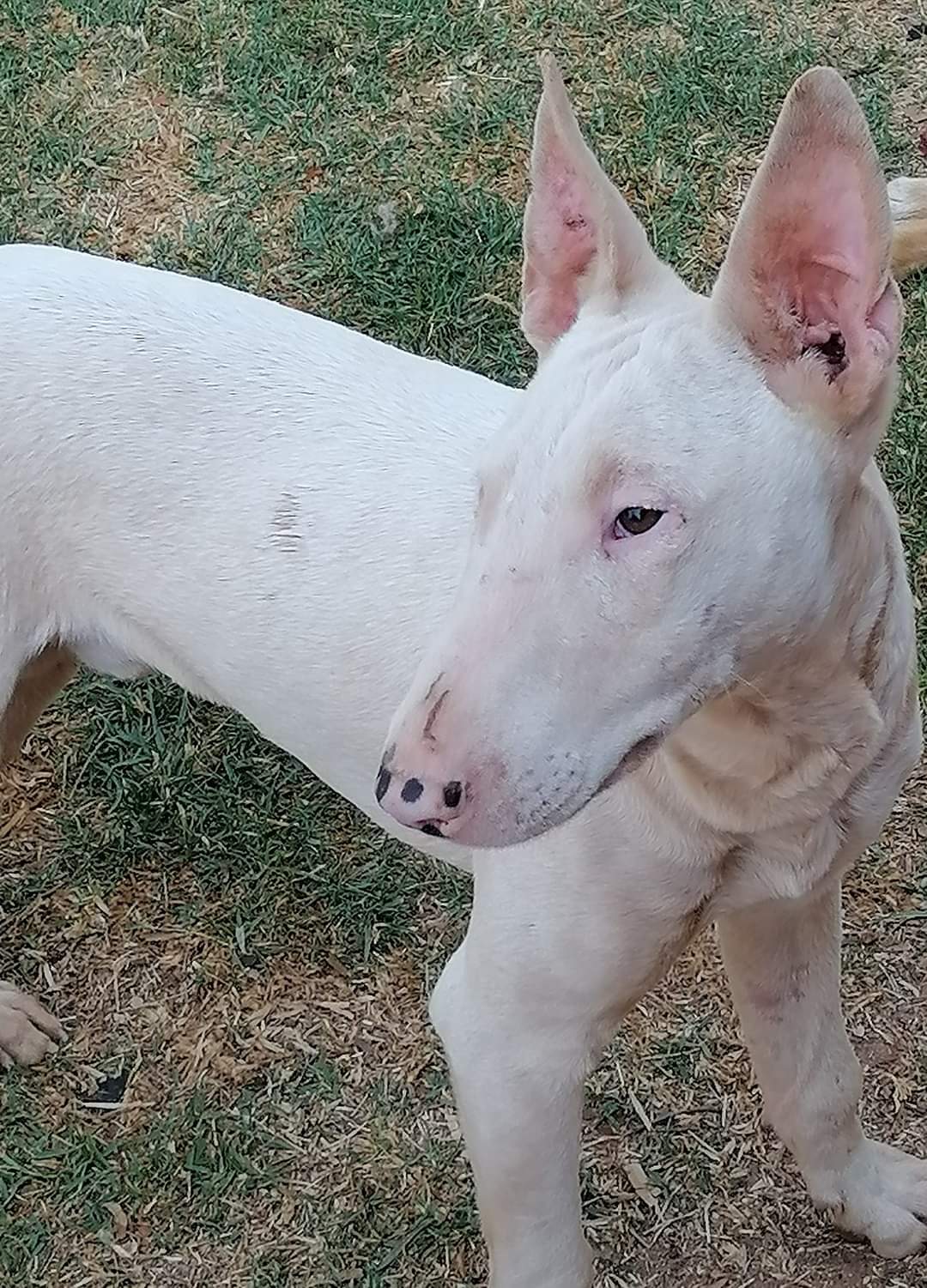 FB_IMG_1669215982465