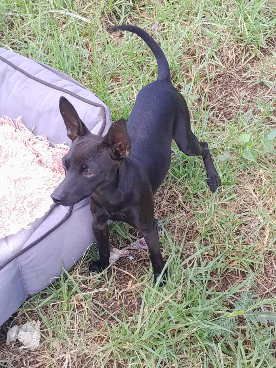 IMG-20250201-WA00111