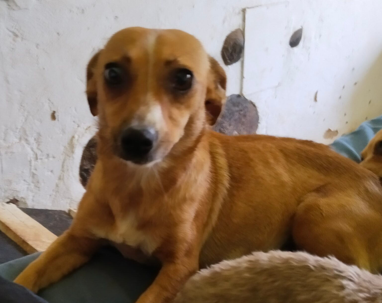 IMG_20240208_1115472