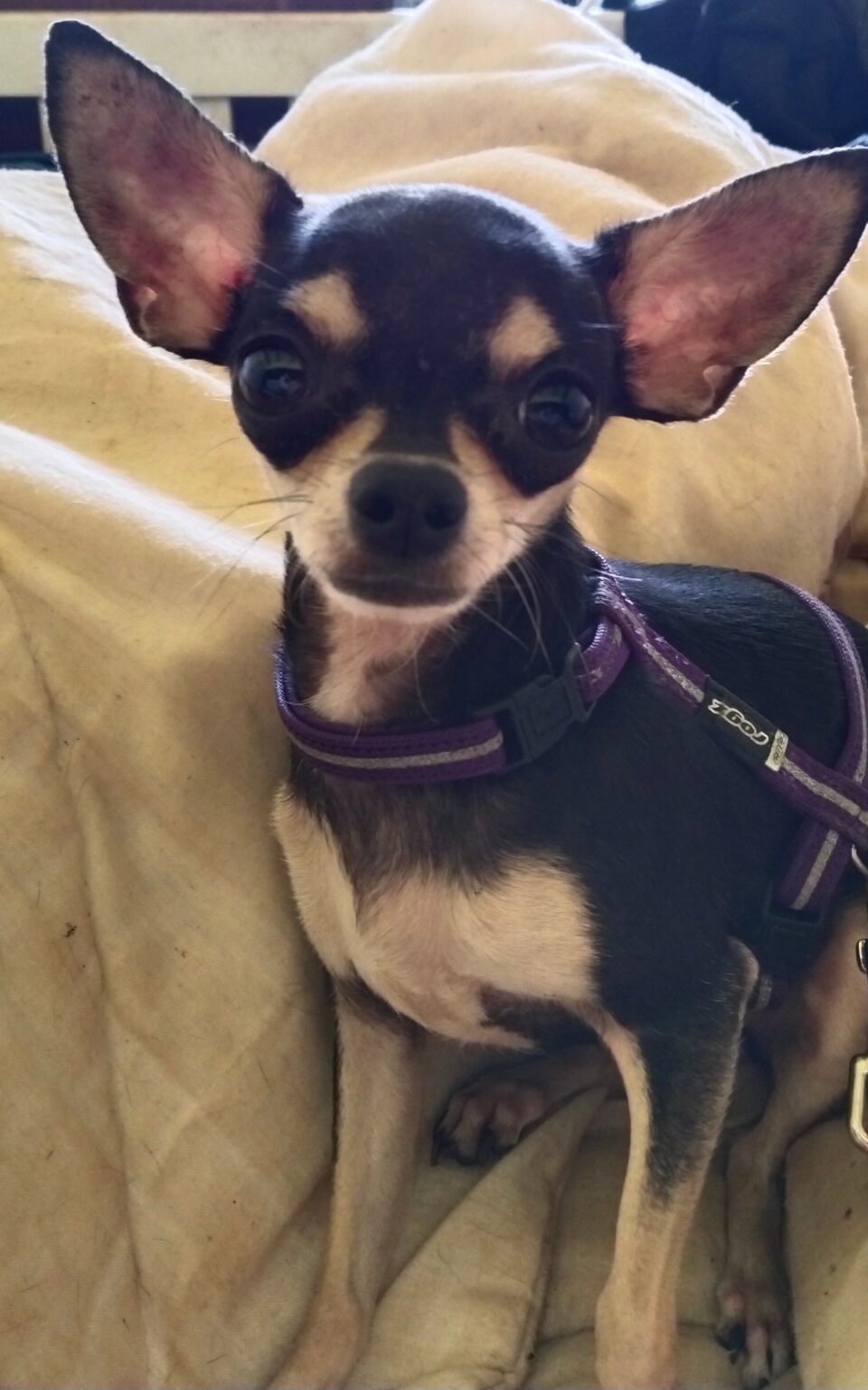 IMG_20240218_1434162