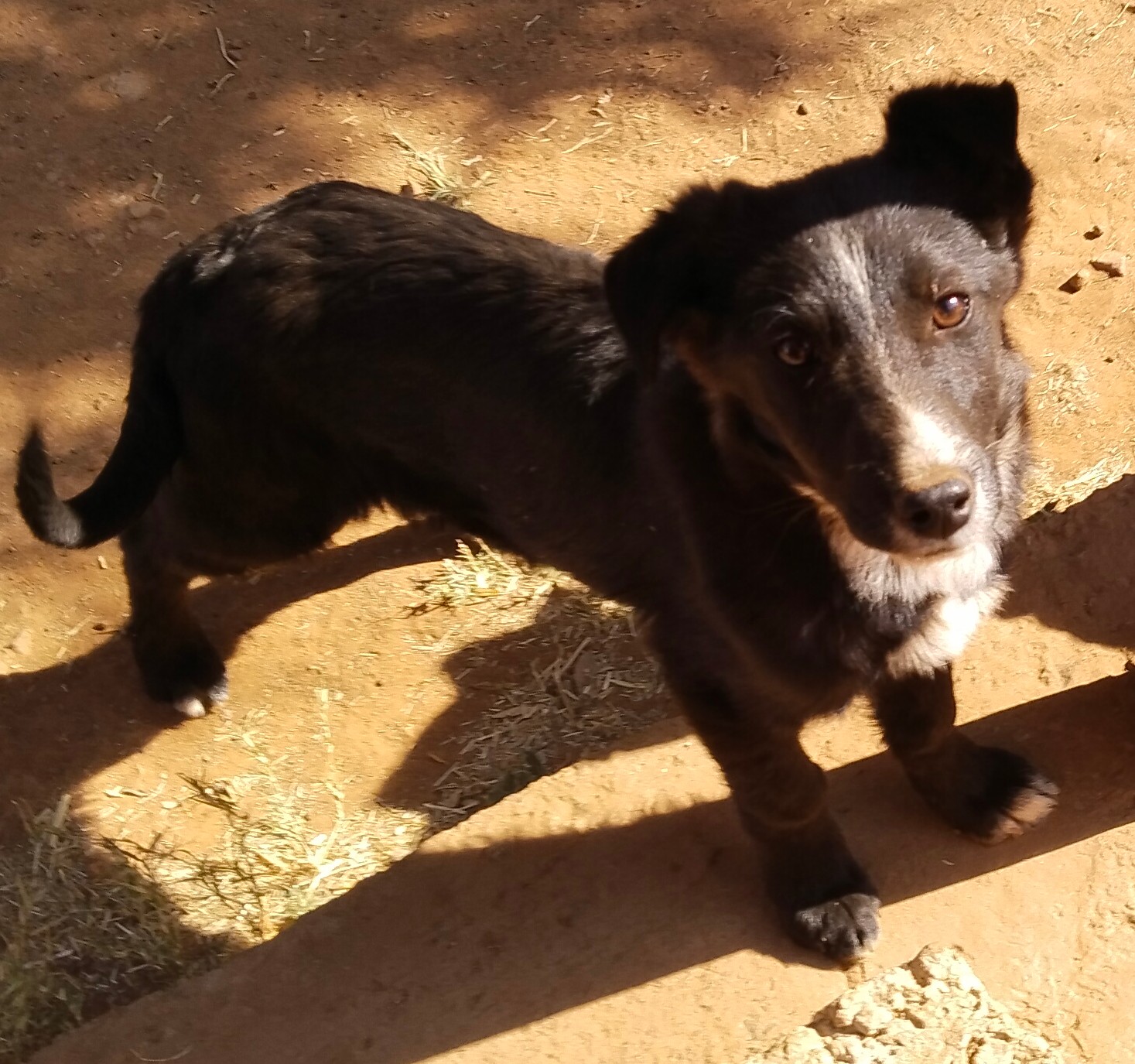 IMG_20240719_1348522