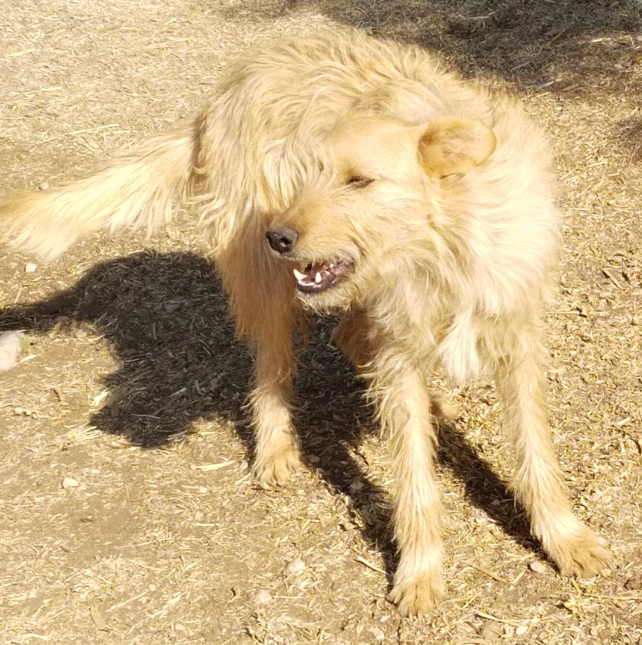 IMG_20240719_1435492