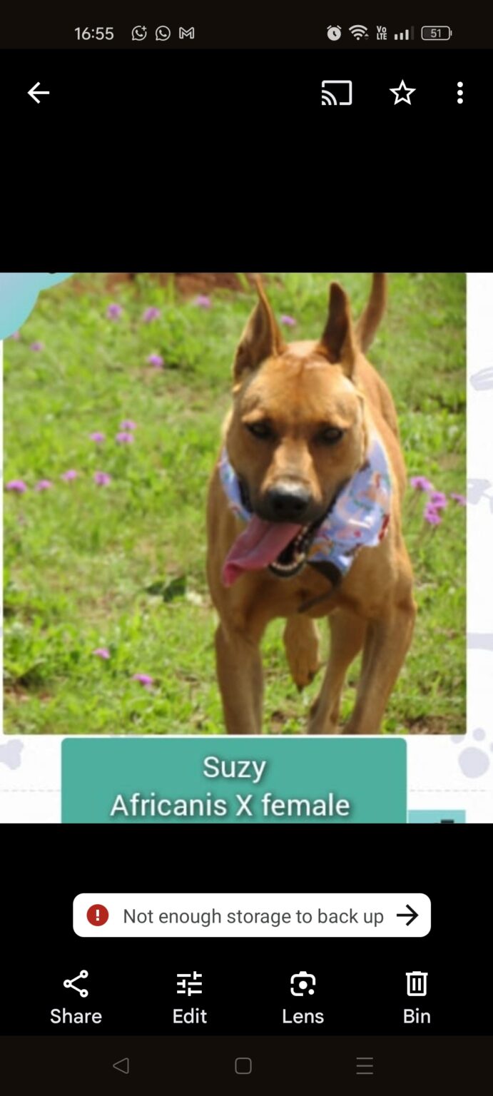 Screenshot_2025-04-19-16-55-54-69_965bbf4d18d205f782c6b8409c5773a4