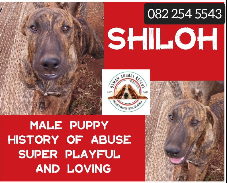 Screenshot_2025-04-20-00-53-09-70_ea44fb1caa4f2d77669d857426853335