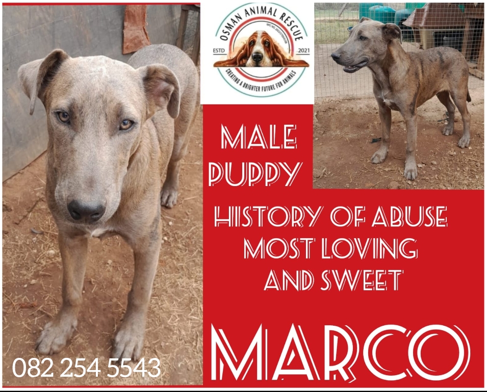 Screenshot_2025-04-20-01-01-08-18_ea44fb1caa4f2d77669d857426853335