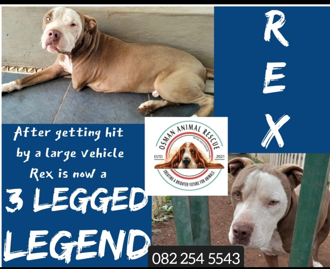 Screenshot_2025-05-05-09-57-14-00_965bbf4d18d205f782c6b8409c5773a4