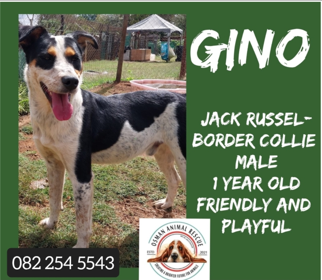 Screenshot_2025-05-05-09-57-41-27_965bbf4d18d205f782c6b8409c5773a4