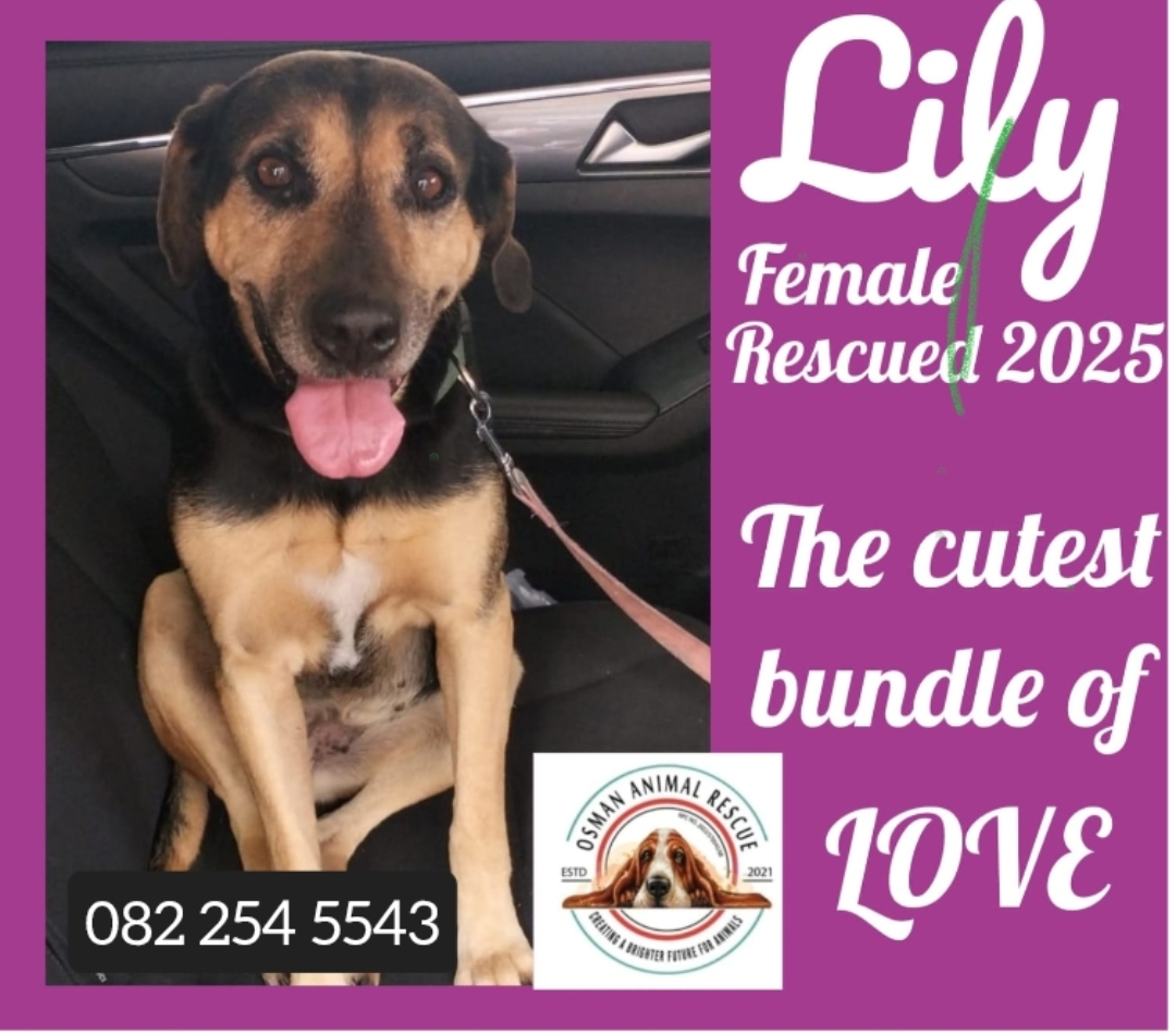 Screenshot_2025-05-05-09-57-55-89_965bbf4d18d205f782c6b8409c5773a4