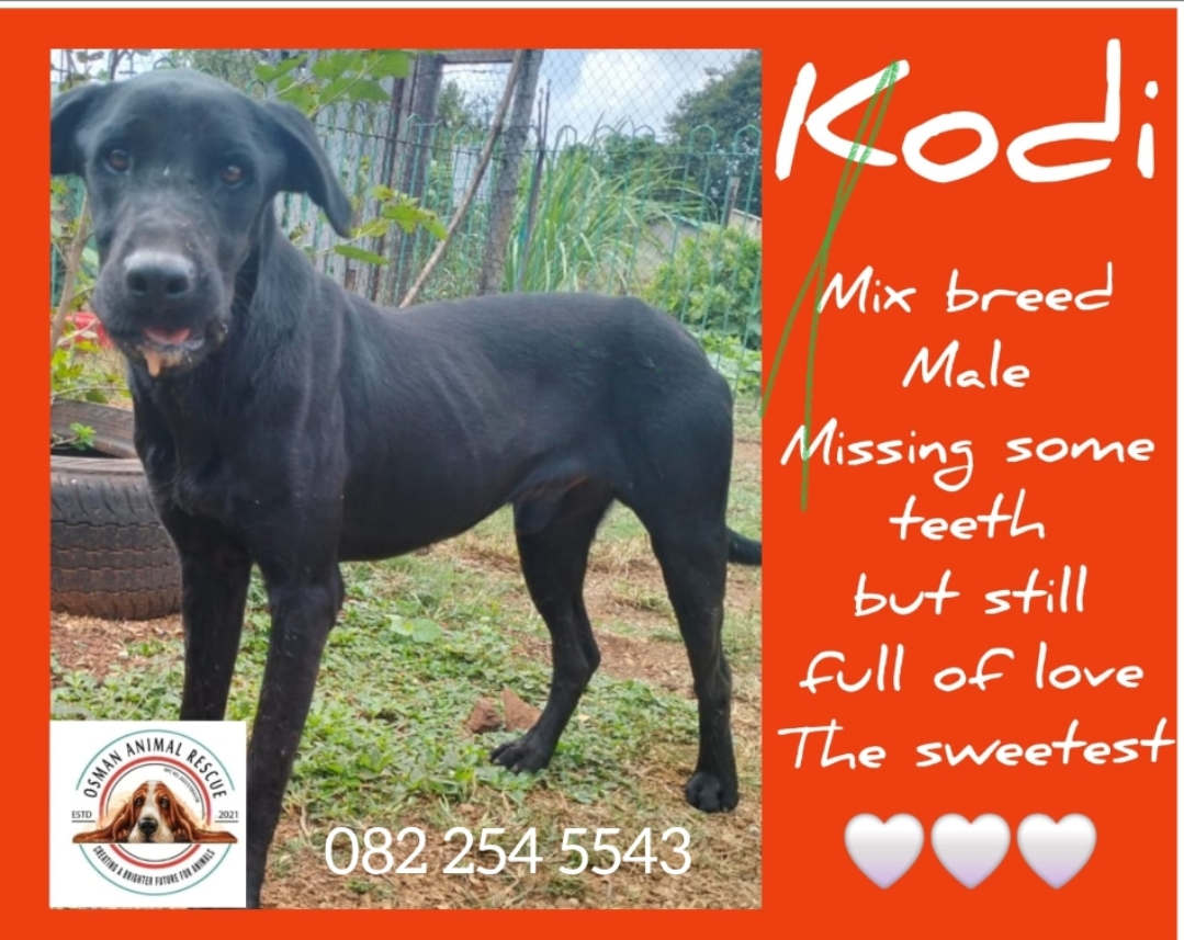 Screenshot_2025-05-05-09-58-13-12_965bbf4d18d205f782c6b8409c5773a4